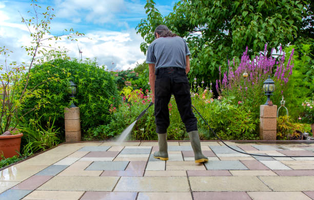 Best Fence Cleaning  in Placentia, CA